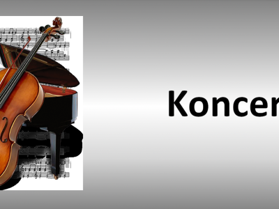 Koncert Bajnutka