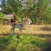 15 maja 2025r. wycieczka absolwentów do Rytla