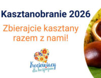 🌰🍂 Kasztanobranie w naszej Bajeczce! 🍂🌰